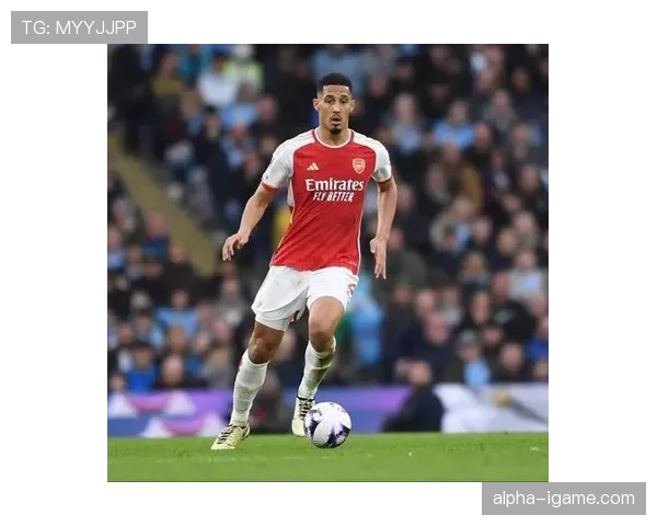 威廉·萨利巴阿森纳表现抢眼,未来前景被广泛看好 威廉·萨利巴阿森纳表现抢眼,未来前景被广泛看好